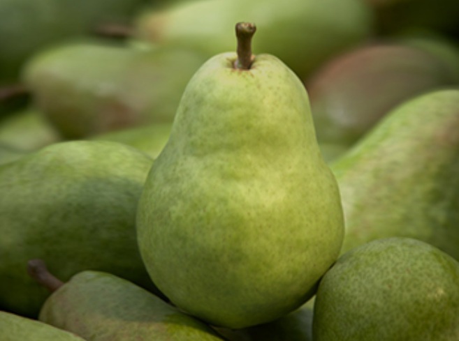 Pear